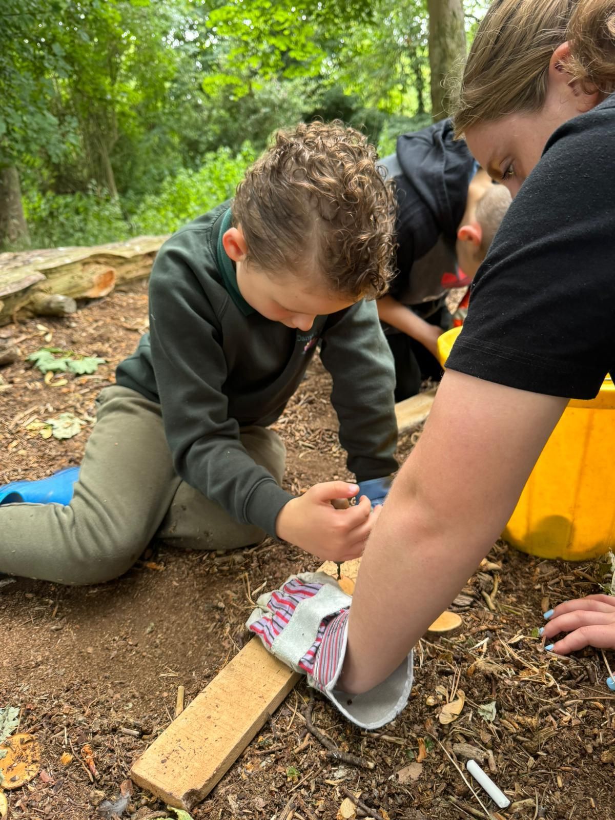 forest school trip 