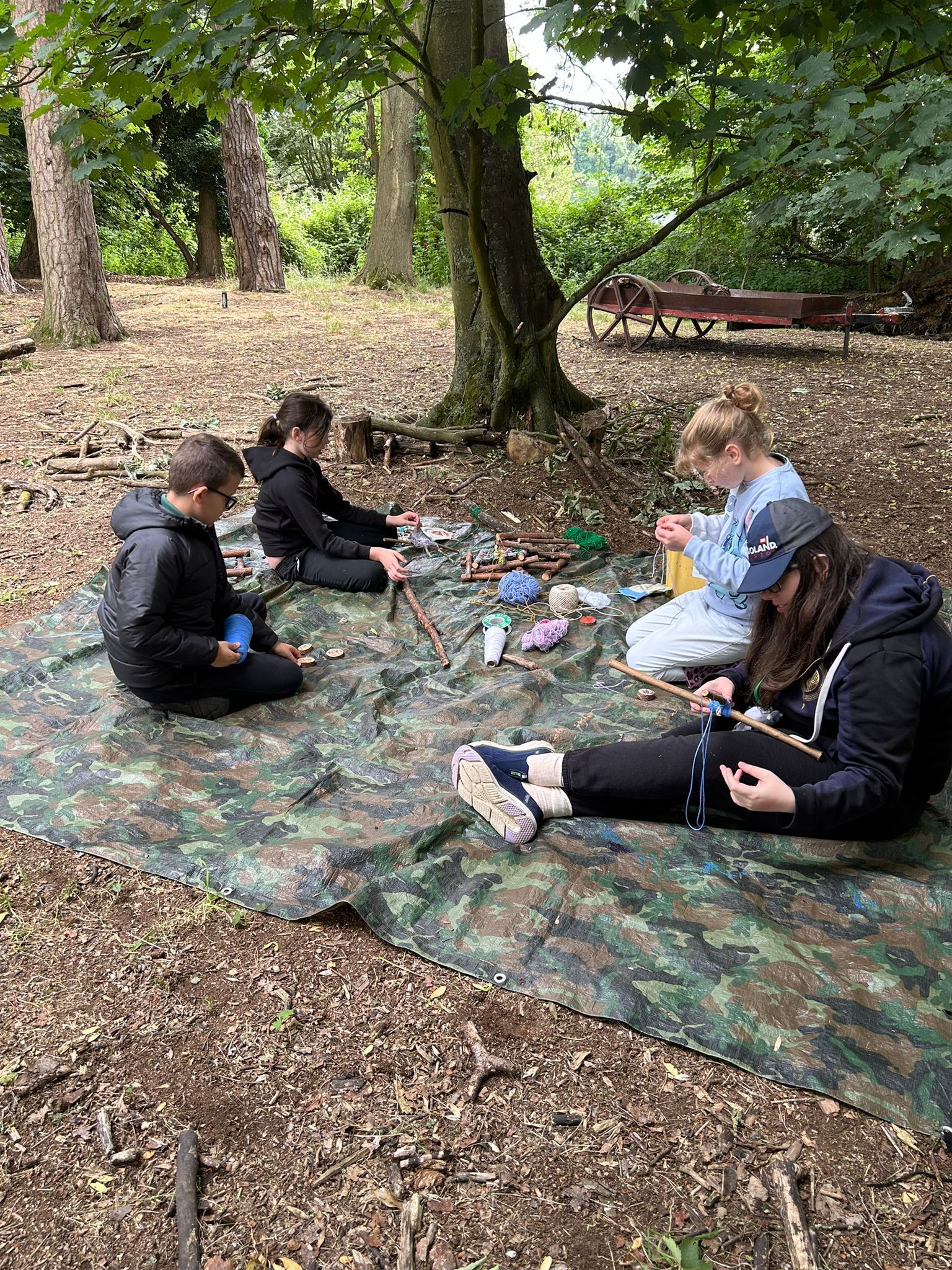 forest school trip 