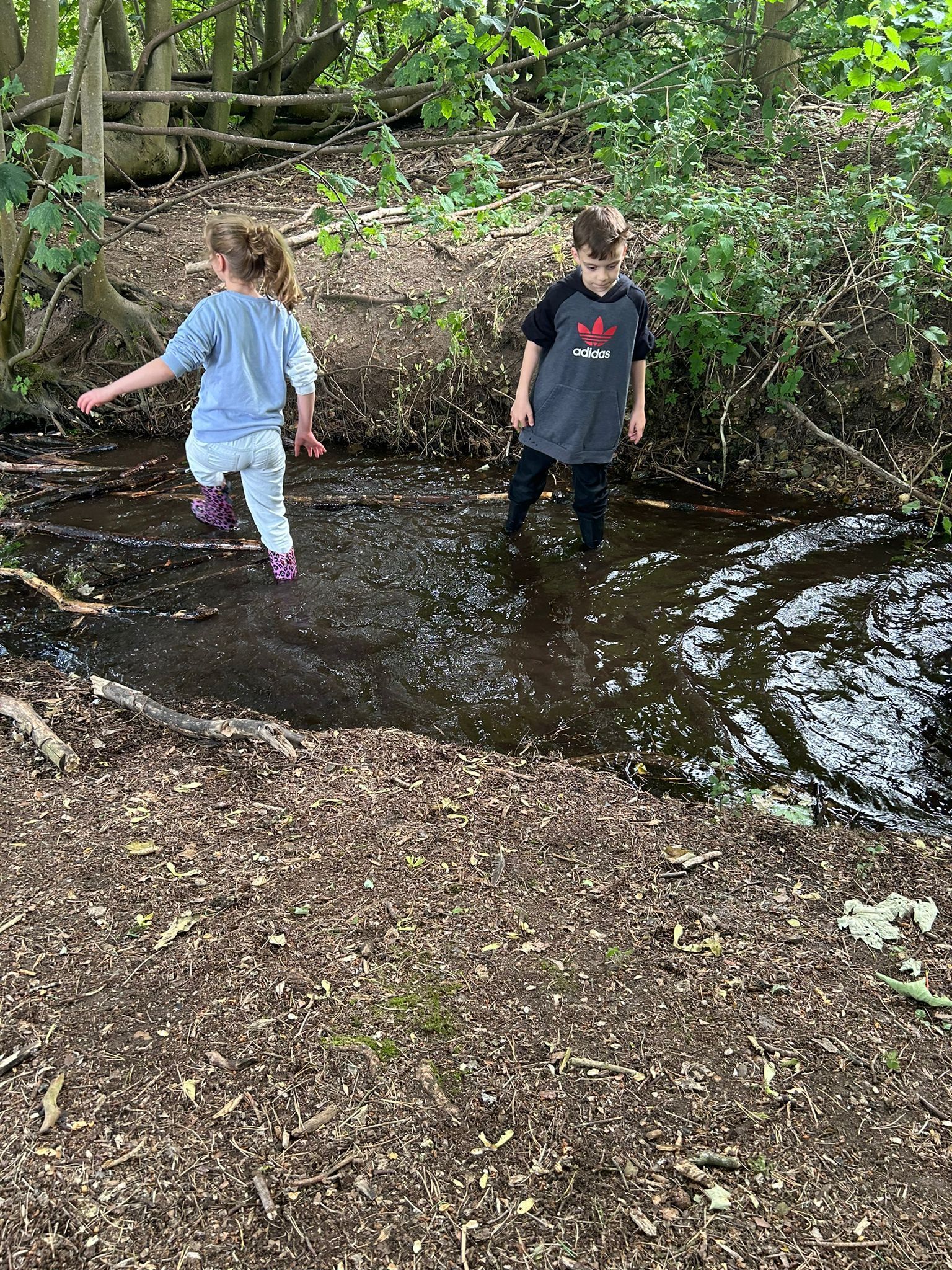 forest school trip 