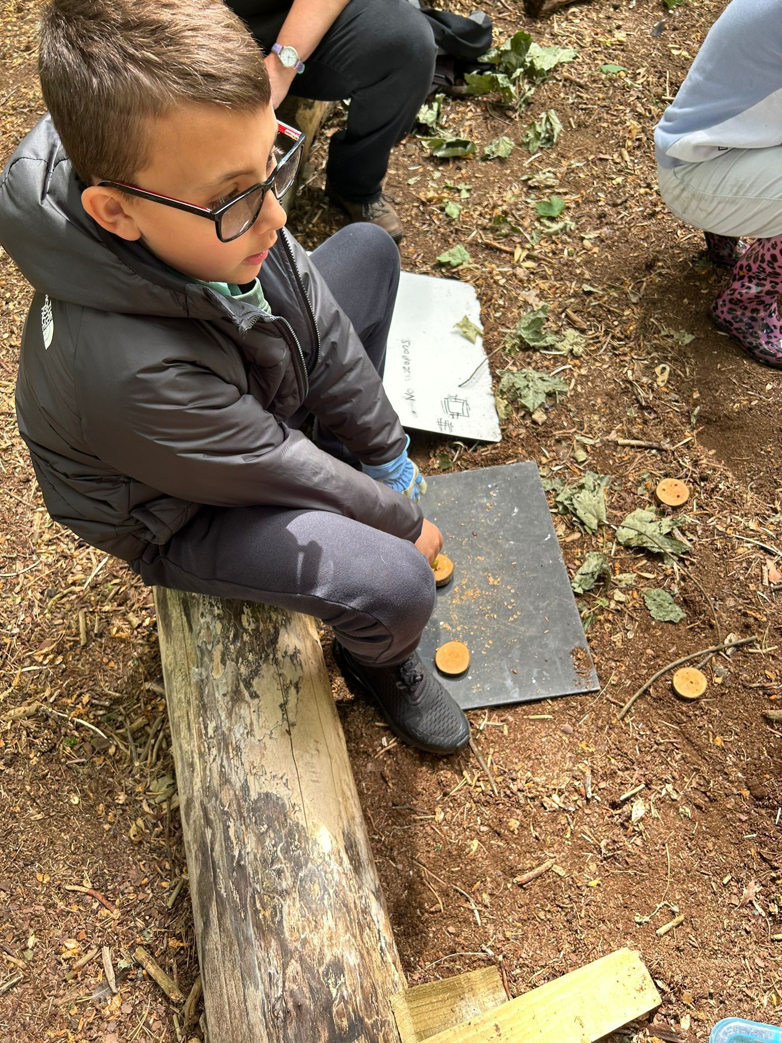 Forest School 2024
