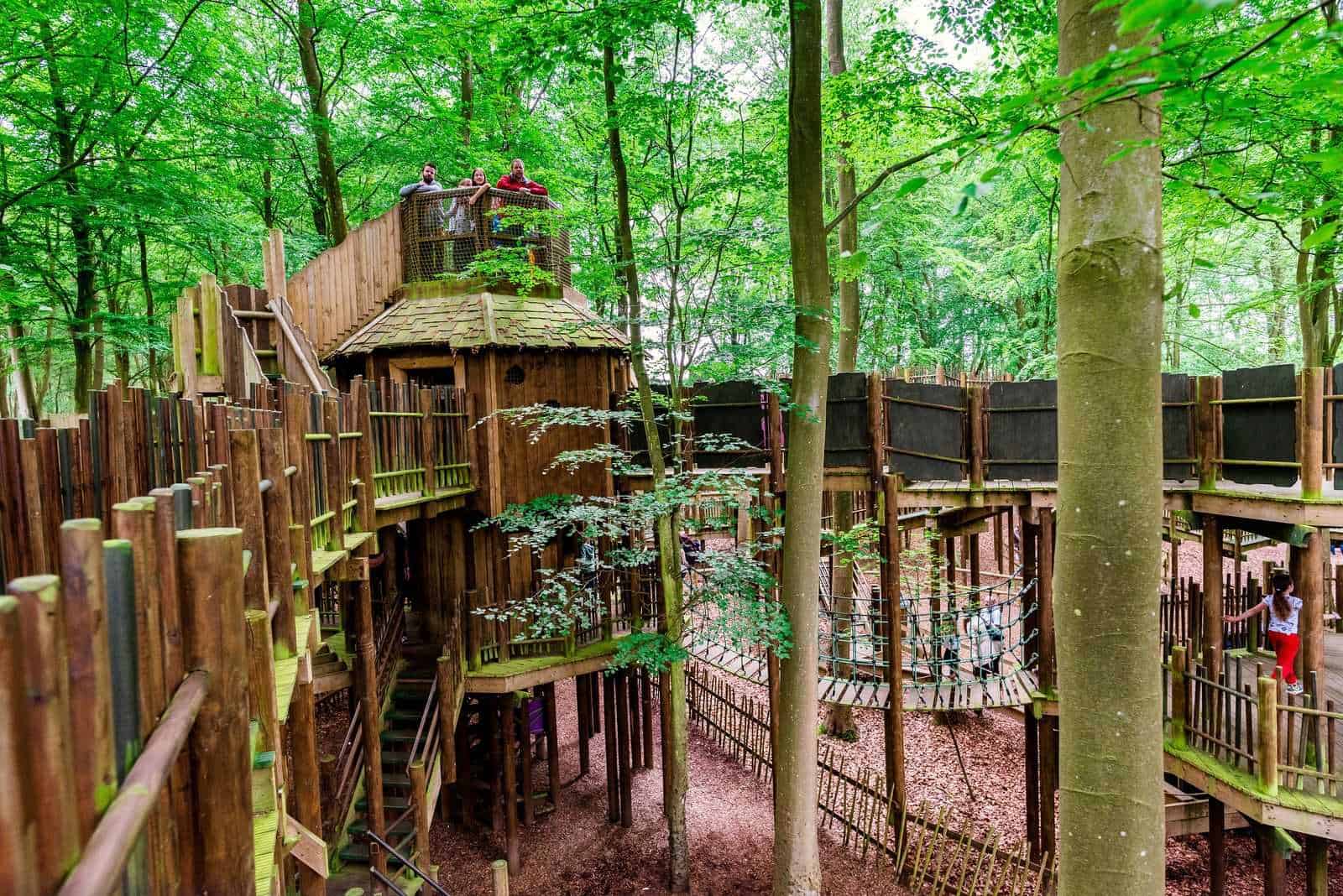  Bewilderwood