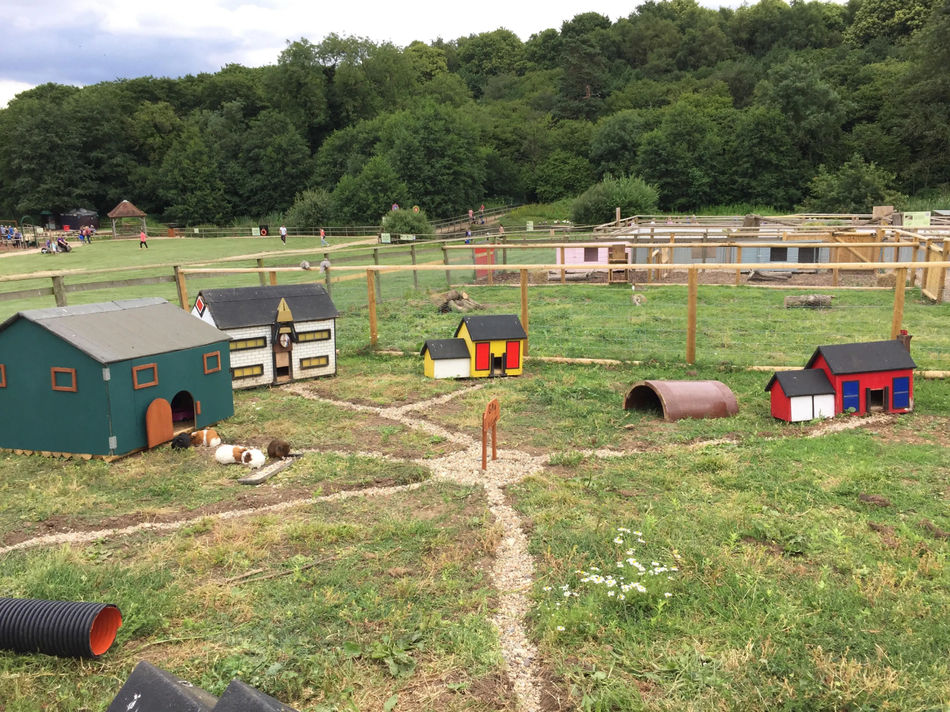 Jimmys-Farm